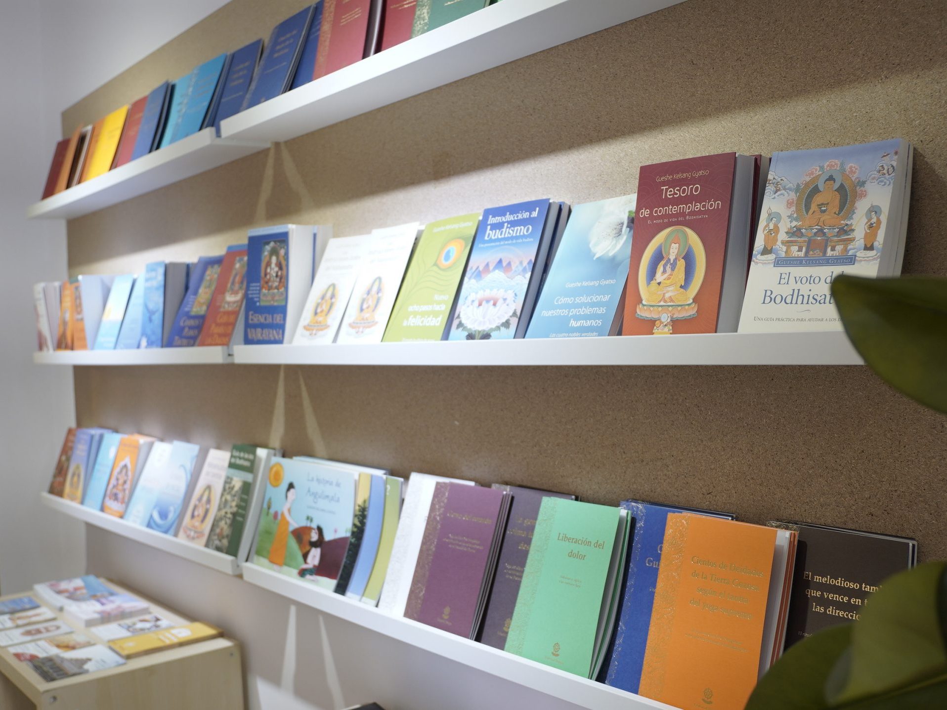 FOTO DE VARIOS LIBROS EN UNA ESTANTERIA