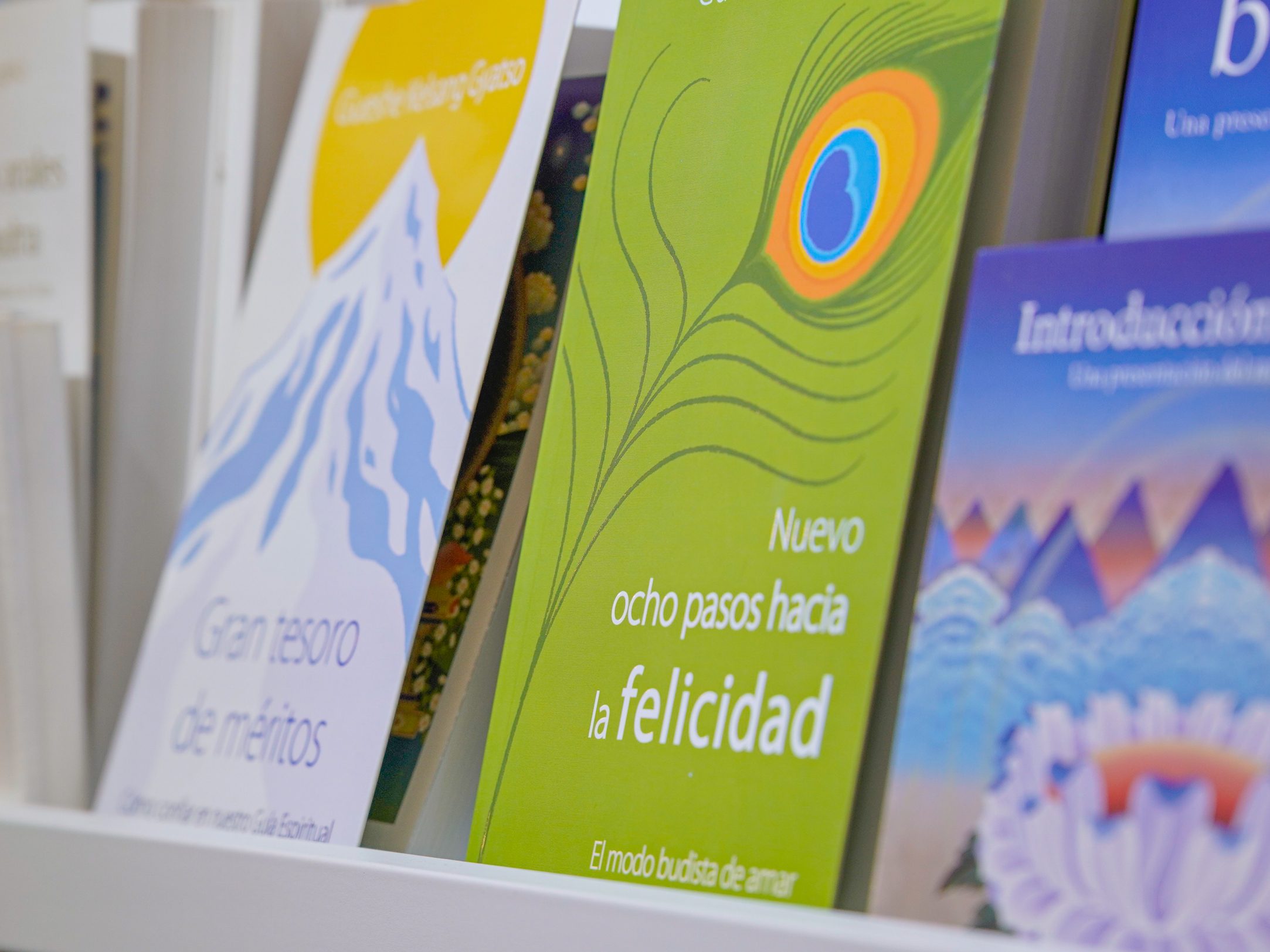 FOTO DEL LIBRO DE OCHO PASOS HACIA LA FELICIDAD