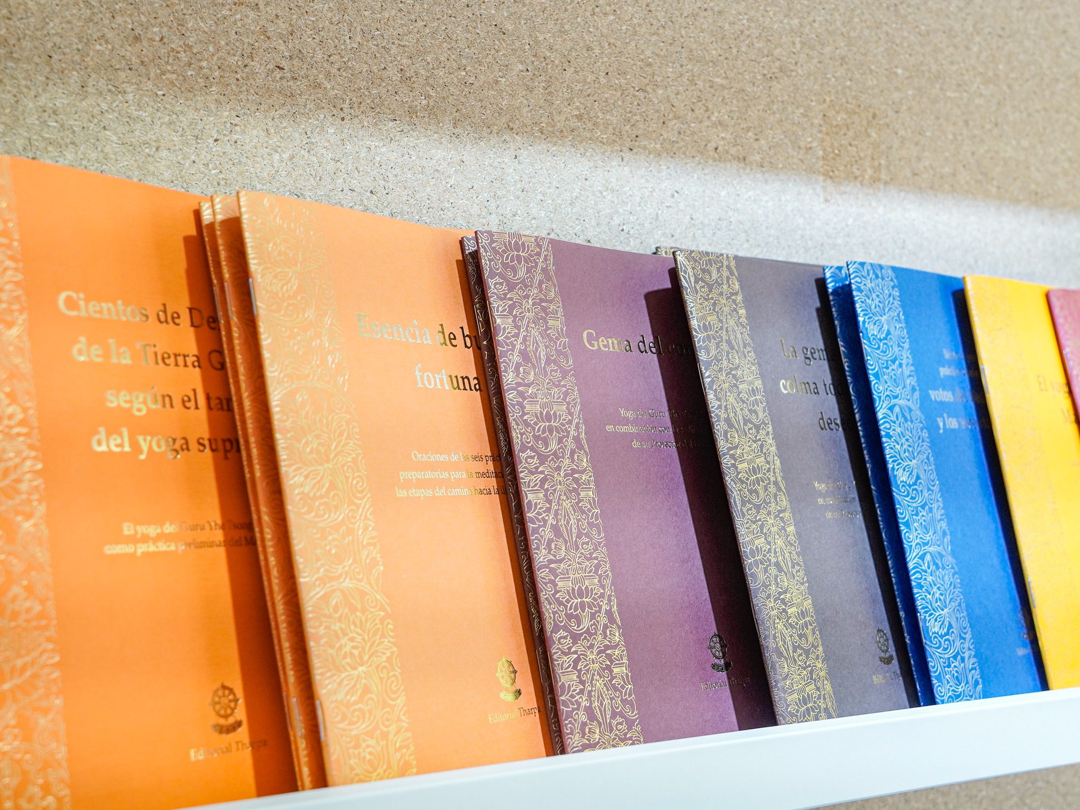 FOTO DE UN CONJUNTO DE LIBROS