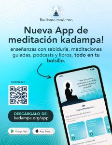 Copia de APP 2025 LETTERHEAD POSTER