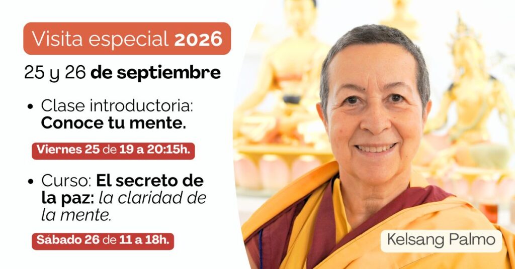 Visita K Palmo